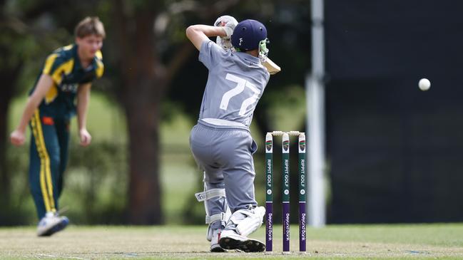 Stockton batting. Picture: Michael Gorton