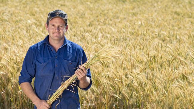 Jordan Mulholland at Timmering pictured with his irrigated wheat crop. Picture: Zoe Phillips