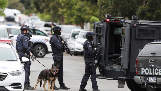 The dog squad were on site. Picture: David Crosling