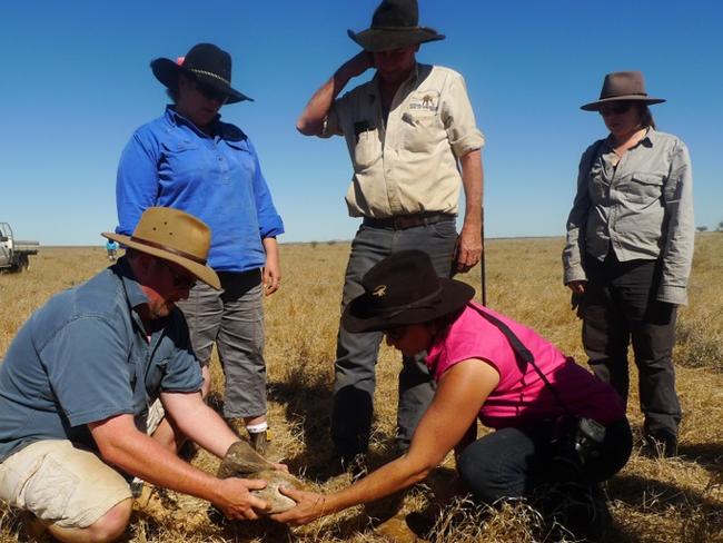 Want to join a dinosaur dig?