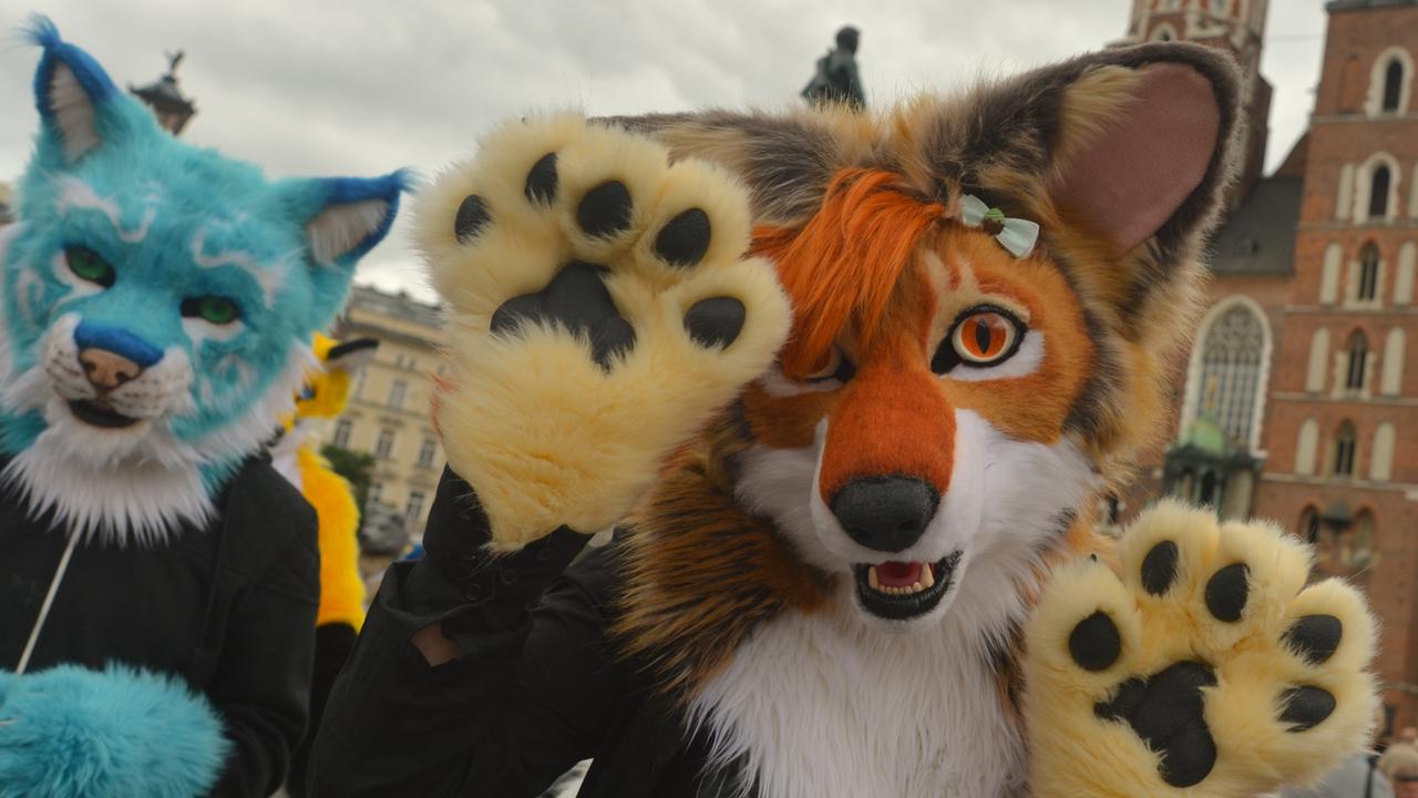 A safeguarding group has given advice not to ridicule pupils identifying as ‘furries’. Picture: Artur Widak/NurPhoto via Getty Images