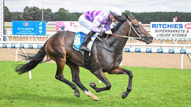 The Team Hawkes-trained Liberty State can kick off her campaign with a win at Canterbury. Picture: Reg Ryan/Racing Photos via Getty Images