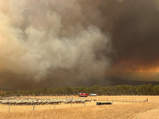 The Grampians fire has now ripped through more than 75,000ha of land and private property. Picture: CFA