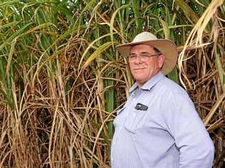 HITTING BACK: Bundaberg Canegrowers manager Dale Holliss. Picture: CONTRIBUTED