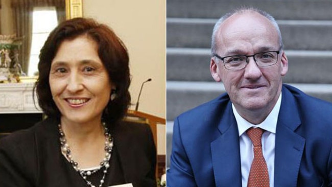 Victorian Energy Minister Lily D’Ambrosio and NSW Labor leader, Luke Foley.