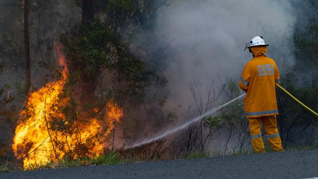 A firefighter tries to extinguish a blaze on Queensland’s Sunshine Coast. Picture: Lachie Millard