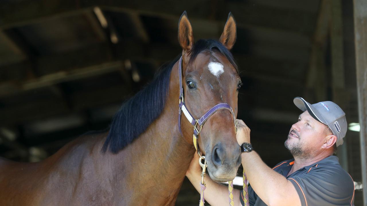 Cairns trainer Stephen Massingham with Silent Explorer. PICTURE: STEWART McLEAN