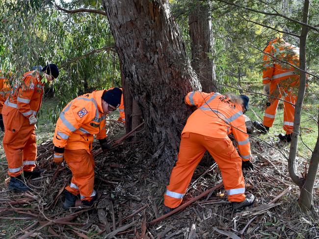 SES volunteers and police begin their search. AAP Image/Joe Castro