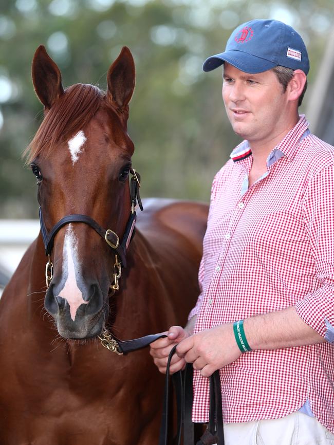 Agent Michael Wallace bought Lot 143, a chestnut filly from Mill Park Stud South Australia, on behalf of a consortium of rich Asian clients. Picture: Glenn Hampson