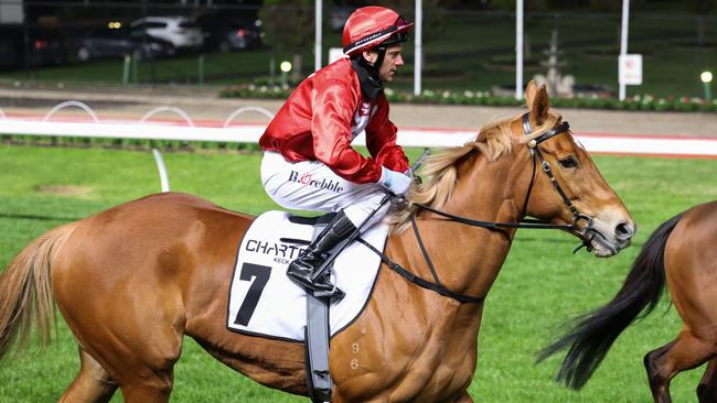 The Moir Stakes didn’t go according to plan for Brooklyn Hustle. Picture: Racing Photos via Getty Images