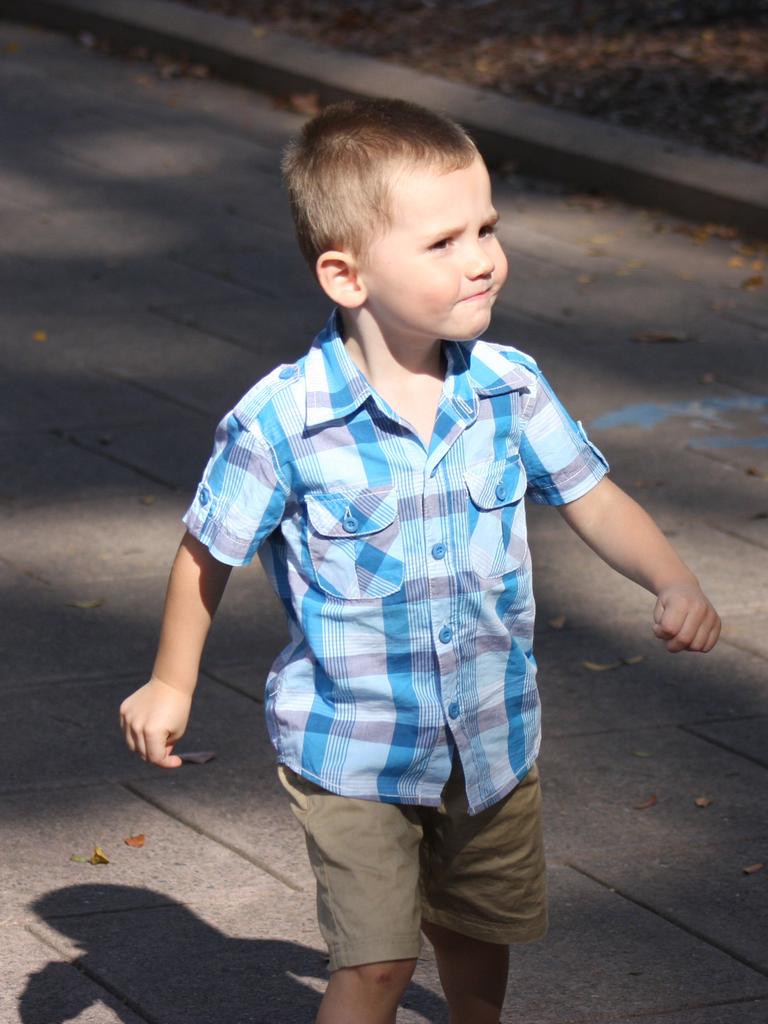 William Tyrrell search: Investigator flags unchecked bins | Daily Telegraph