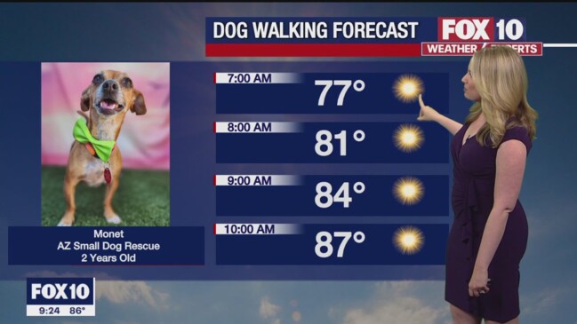 Evening Weather Forecast – 5/20/23