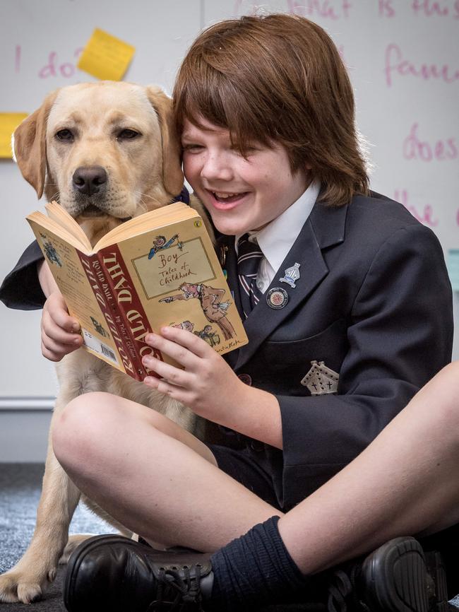 Tintern Grammar’s Tim Elliot-Bruce reads a Ronald Dahl classic to Belle. Picture: Jake Nowakowski