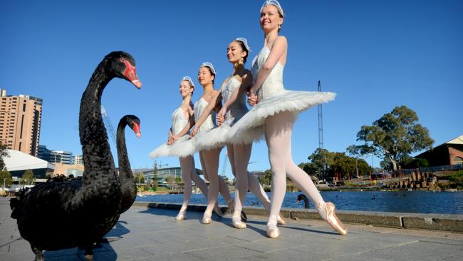 Australian Ballet Brings Swan Lake To Adelaide Au — Australia S Leading News Site