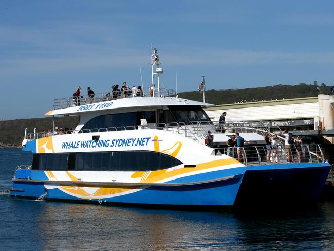 Manly Fast ferry pictured heading towards Manly wharf, Manly, Sydney, January 5, 2018. (AAP IMAGE / Damian Shaw)