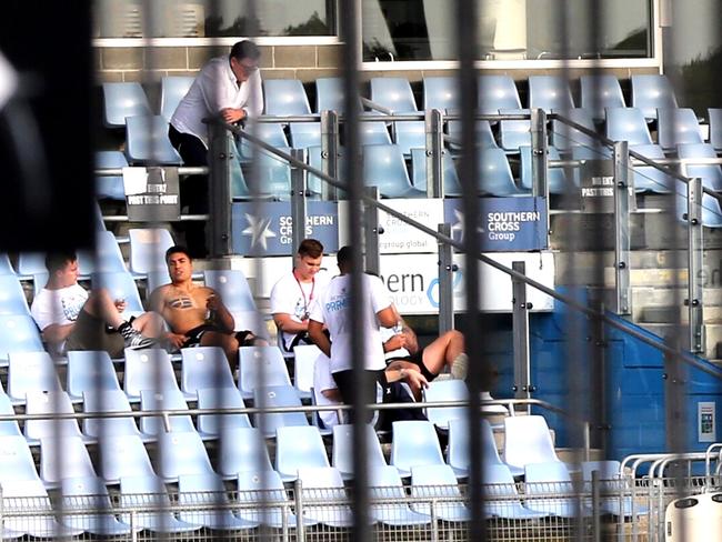 Tired looking Sharks players in the stands at 7.30am this morning. Picture: Stephen Cooper