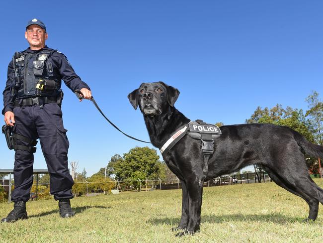 Sergeant Darren Breuer and cash-detection dog Flipa. Picture: John Gass/AAP