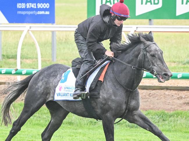 Valiant King ridden by Sean Corby during trackwork at Werribee Racecourse on October 26, 2023 in Werribee, Australia. (Reg Ryan/Racing Photos via Getty Images)