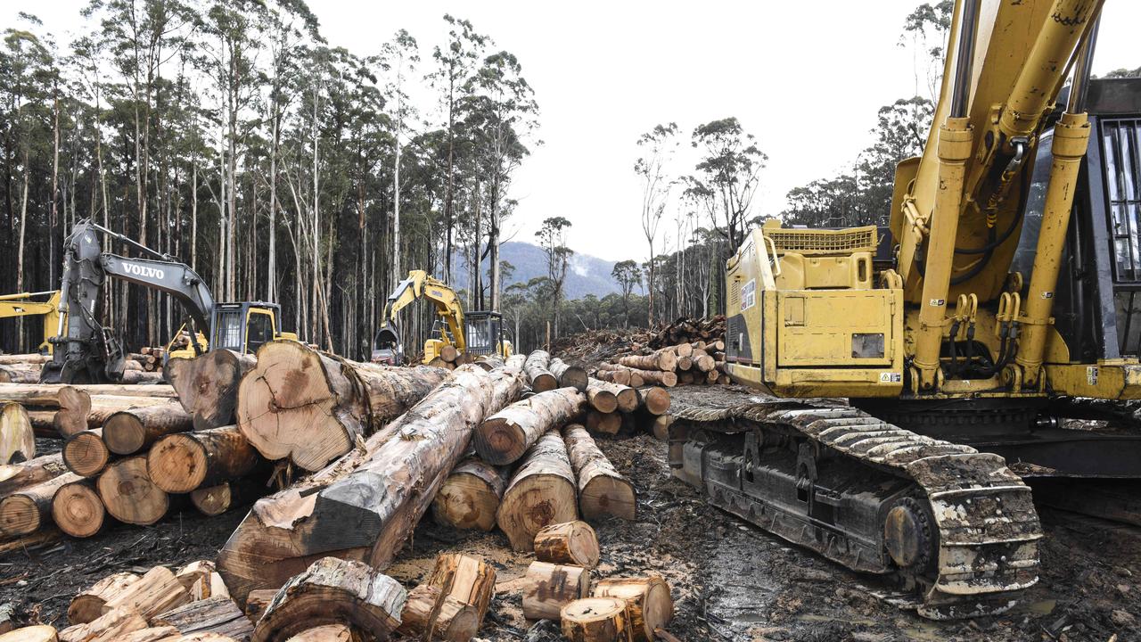 China has banned log exports from four states including Queensland in a $130m blow for the Sunshine State timber industry.