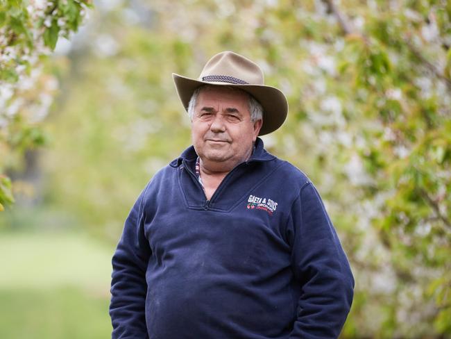 Guy Gaeta, orchardist near Orange NSW.  Guy is a Cherry and Apple grower for story about how seasonal workers will be let in to Australia without quarantine from end of Nov early Dec. He says fruit growers badly need backpackers as well. Picture: Graham Schumann