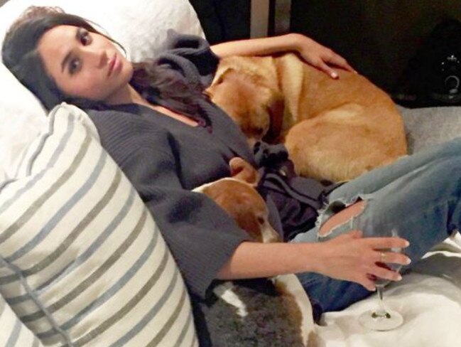 Meghan, Duchess of Sussex with her adopted dogs, which she had to leave in Toronto when she moved to the UK. Picture: Instagram/Markle