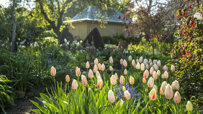 You’ll never need to buy flowers again with a garden like this.