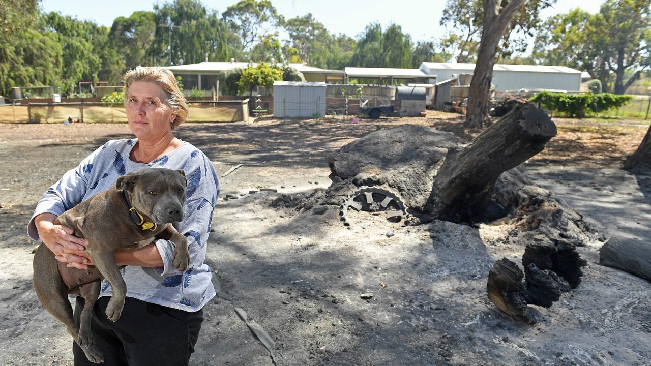 South-East fire: Farmers count cost of blaze, livestock killed and fencing  destroyed | The Advertiser