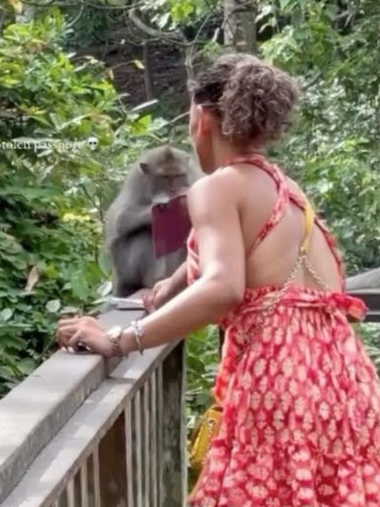 The woman attempts to offer the monkey a piece of paper instead. Picture: Instagram / @idiots_inbali