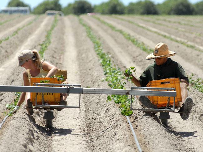 Migration experts say Australia’s system needs a radical overhaul.