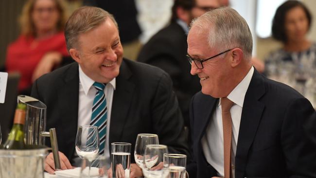 Opposition Leader Anthony Albanese and former prime minister Malcolm Turnbull. Picture: AAP