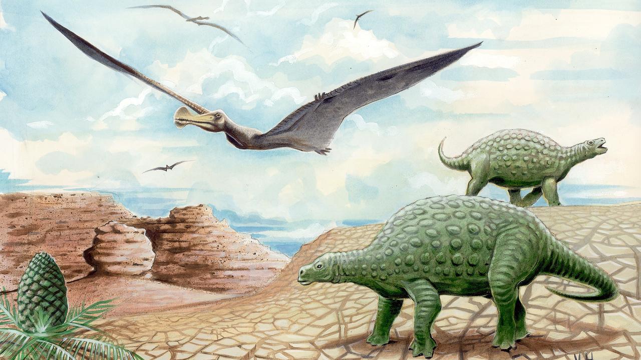 Fossil of oldest pterodactyl discovered in Utah desert