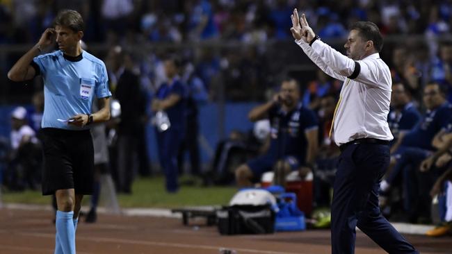 Ange Postecoglou gives instructions during the first leg in San Pedro Sula.