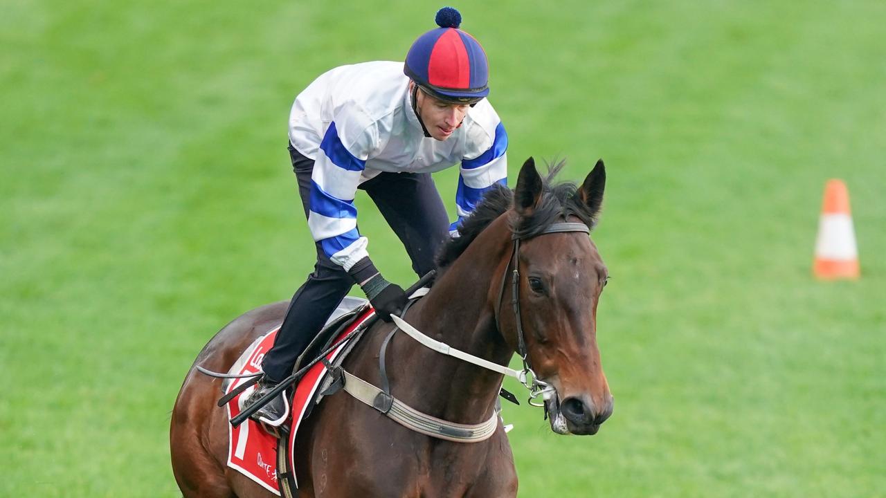 ‘Much maligned’ Kovalica in surprise Melbourne Cup tilt