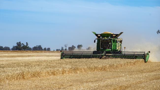 Golden harvest: Export volumes of containers from Victoria are more than double last year’s monthly average. Picture: Zoe Phillips