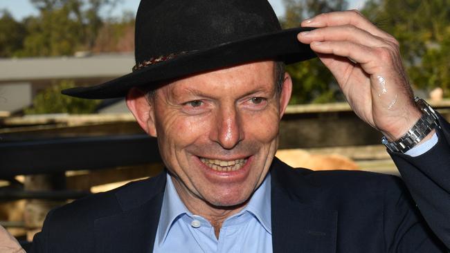 Tony Abbott has been a vocal critic of the government’s planned NEG. Picture: AAP