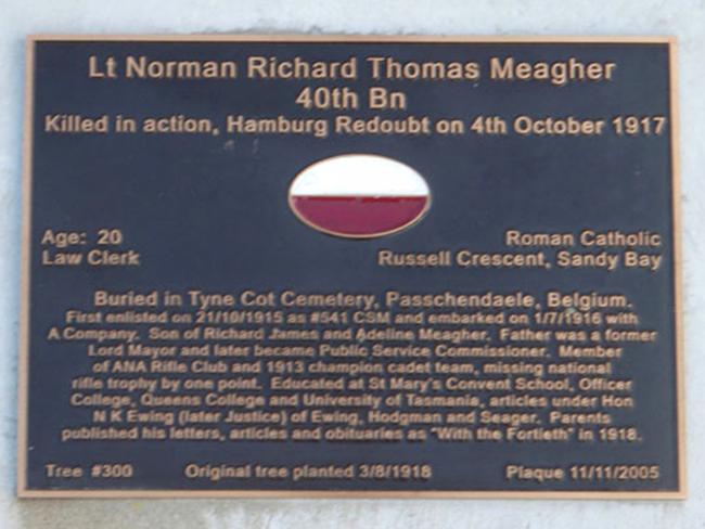 Mercury 100 days of heroes. World War I soldier Norman Meagher is commemorated at tree #300 on the Soldiers' Memorial Avenue in Hobart