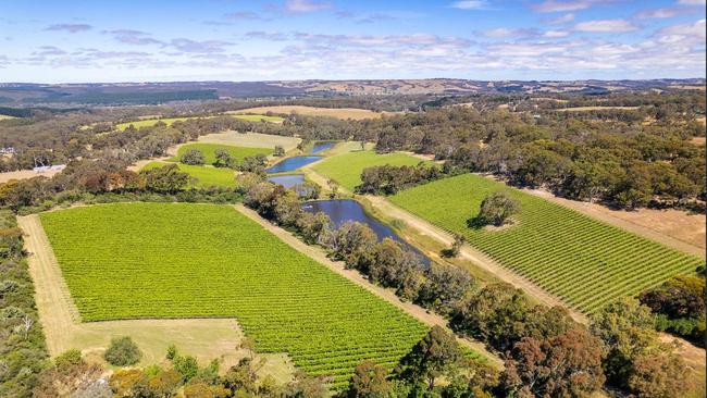 The Range vineyard property at Willunga. Picture: realestate.com.au