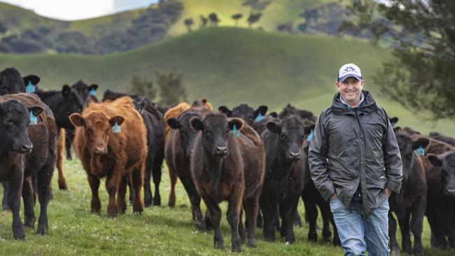 Tom Lawson run Paringa Livestock. Picture: Zoe Phillips