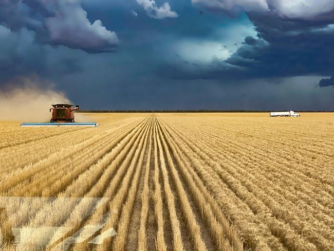 Marylands, Walgett on Wednesday afternoon. The storm started brewing around 4pm, we were in the process of harvesting the last of the wheat. We only got 10 ml of rain out of the storm, but it was enough to bring us to a holt. , The header driver is my husband Jungle, he is driving a case 8240 with a Shelbourne Stripper Front. The Truckie in the background is Mike Foster who braved the impeding storm to try and get wheat back to the shed. We are on black soil so a little bit of rain turns the soil to soup.  Must Credit Sharon Smith,