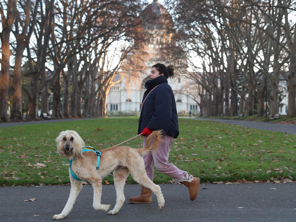 A woman walks her dog in Carlton Gardens, Melbourne on the coldest day of the year. Picture: NCA NewsWire / David Crosling