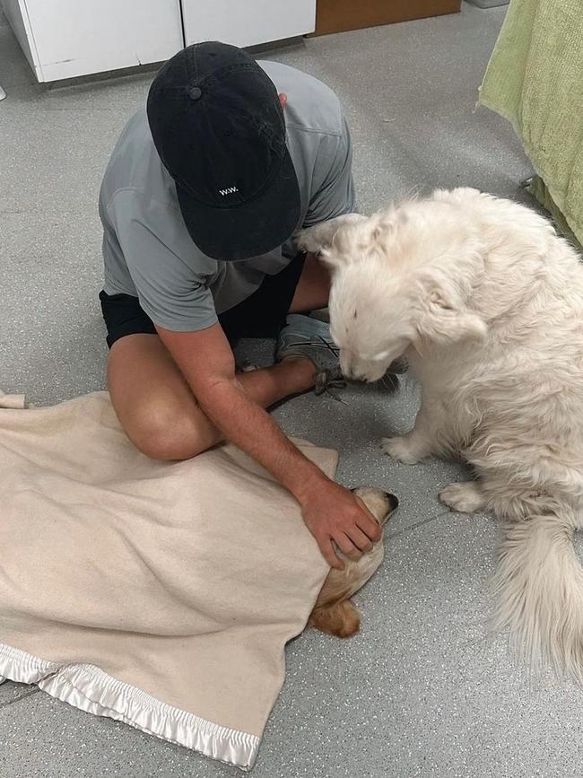 Mitchell stroking Macy’s head.