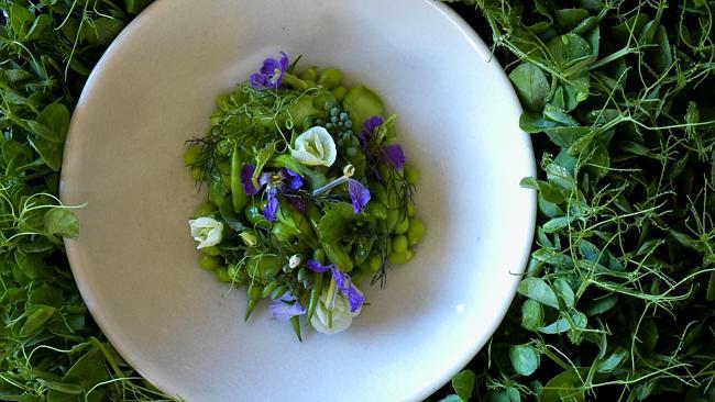 Legumes, their flowers and fresh cheese, from <i>Biota</i>, by chef James<i/>Viles.