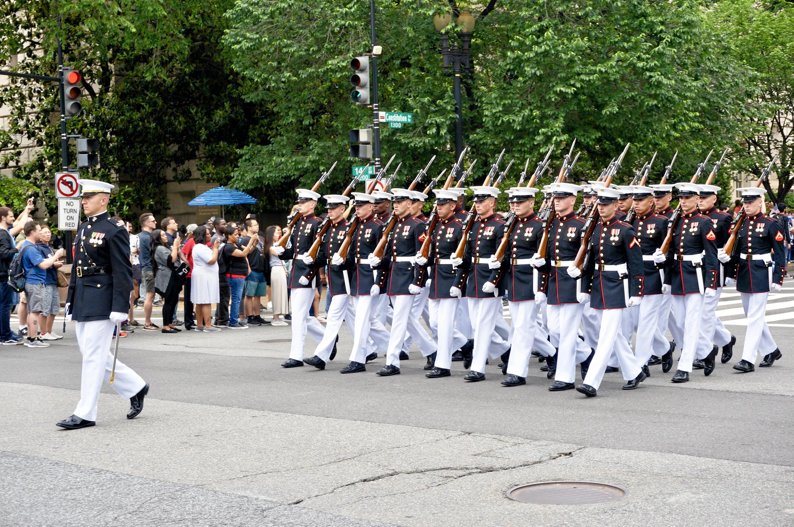 Gallery Memorial Day in Washington DC The Courier Mail