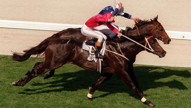 Verry Elleegant is related to former champion racehorse and 1995 Cox Plate winner, Octagonal.