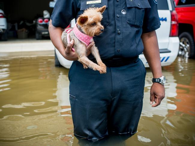 Chief Patrick Melvin returned to save his dog outside his flooded home in Port Arthur, Texas, on Thursday, September 1 2017. Storm-weary residents of Houston and other Texas cities began returning home to assess flood damage from Hurricane Harvey but officials warned the danger was far from over in parts of the battered statePicture: AFP