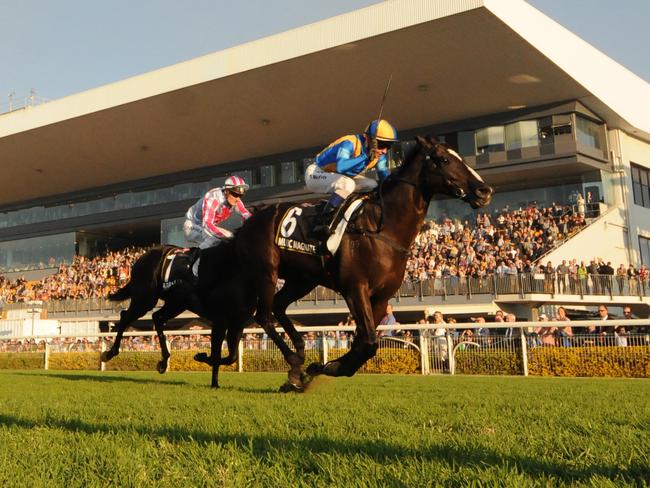 Music Magnate takes out the Doomben 10,000 on Saturday. Picture: Grant Peters, Trackside Photography