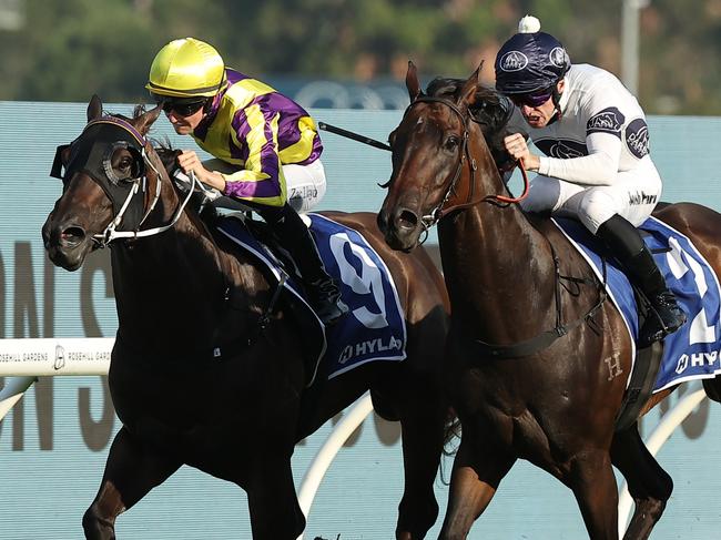 SYDNEY, AUSTRALIA - MARCH 15: Josh Parr riding Iowna Merc win Race 9 Hyland Race Colours Ajax Stakes during "Chandon Ladies Day" - Sydney Racing at Rosehill Gardens on March 15, 2025 in Sydney, Australia. (Photo by Jeremy Ng/Getty Images)