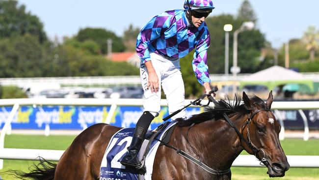 Declan Bates gets up in the irons after Pride of Jenni’s victory in the All-star Mile at Flemington on March 16. Picture: Vince Caligiuri / Getty Images