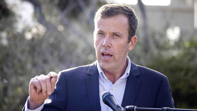 Trade minister Dan Tehan said the decision was ‘disappointing’. Picture: NCA NewsWire/Nicole Cleary