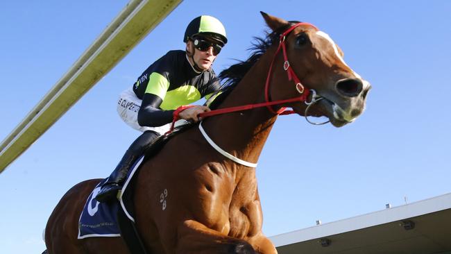 SYDNEY, AUSTRALIA - JUNE 18: Sam Clipperton on Rubinocchi wins race 6 the NSW Bookmakers Co-op Handicap during Sydney Racing at Rosehill Gardens on June 18, 2022 in Sydney, Australia. (Photo by Mark Evans/Getty Images)